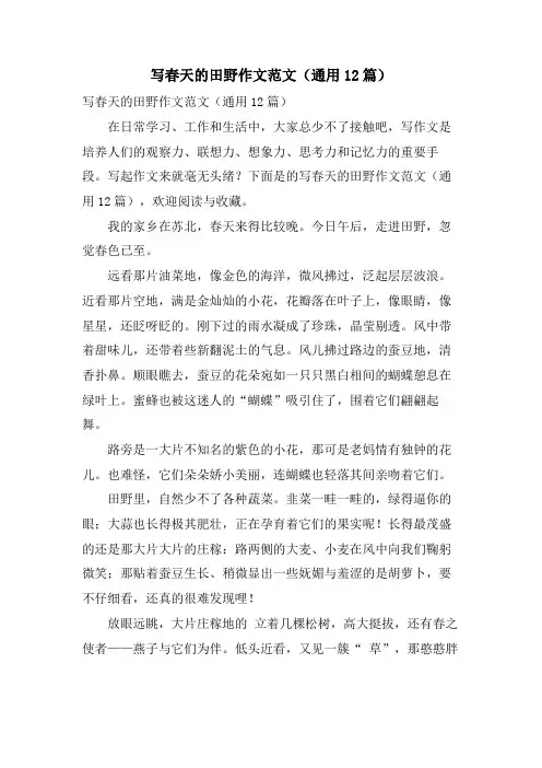 写春天的田野作文范文(通用12篇)