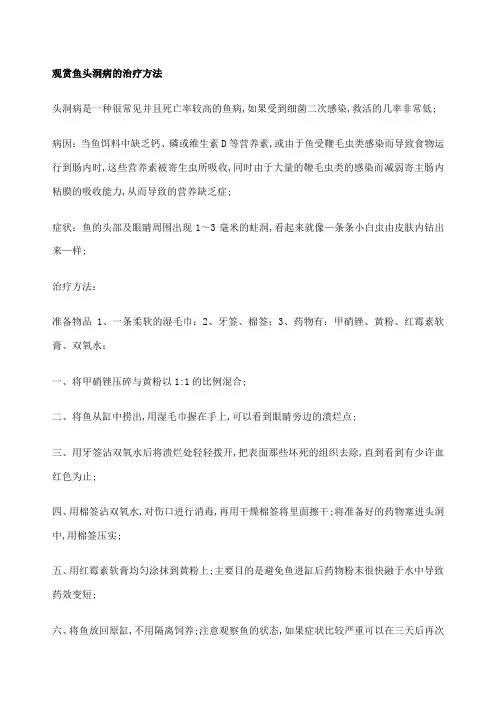 观赏鱼头洞病的治疗方法