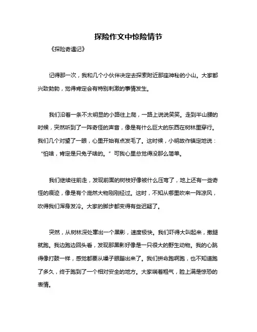 探险作文中惊险情节