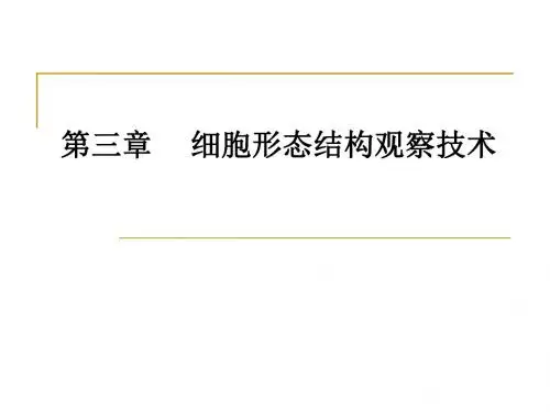 细胞形态结构观察技术