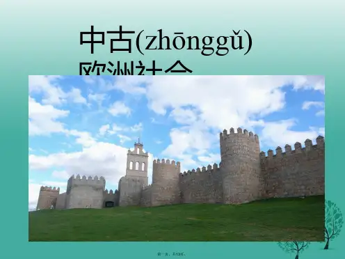 九年级历史上册第二单元第5课中古欧洲社会课件5新人教版