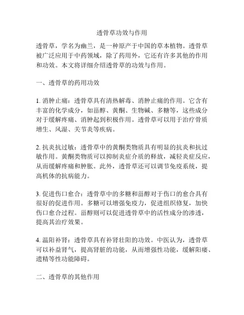 透骨草功效与作用