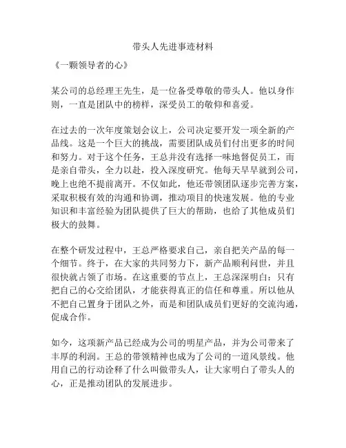 带头人先进事迹材料