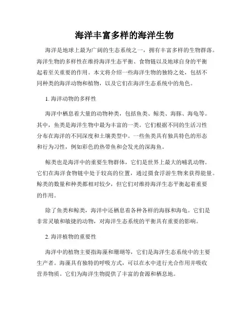 海洋丰富多样的海洋生物