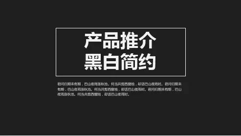项目策划(06)——黑白简约PPT模板