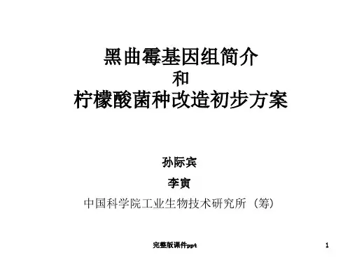 黑曲霉基因组与柠檬酸生产菌种改造