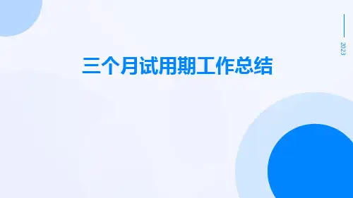 三个月试用期工作总结PPT