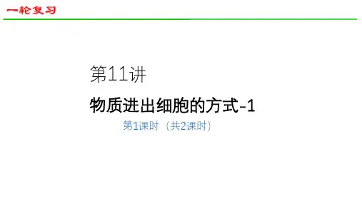 2025届高三生物一轮深度复习课件17：物质进出细胞的方式(第1课时)(共38张PPT)