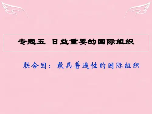 高中政治 联合国 最具普遍性的国际组织课件 新人教版选修3