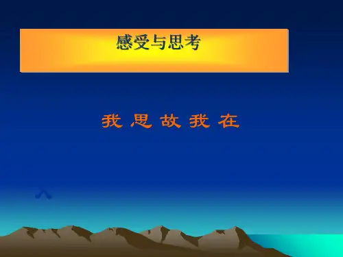 感受与思考ppt8[优秀作文]