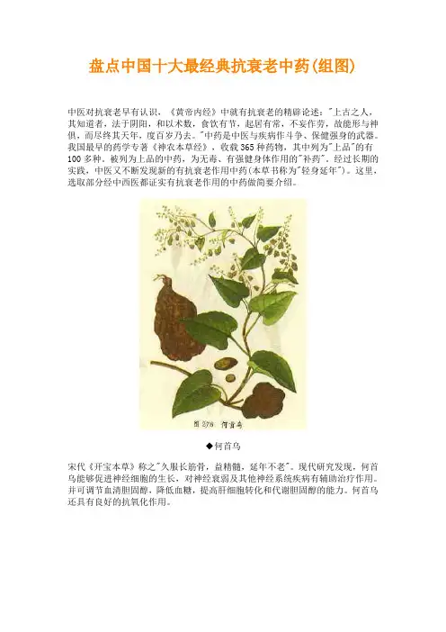 盘点中国十大最经典抗衰老中药