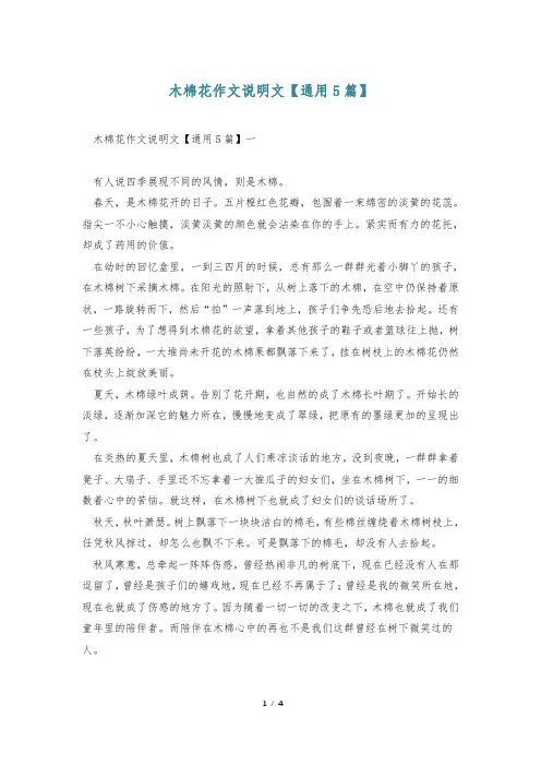 木棉花作文说明文【通用5篇】