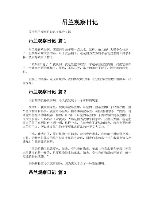 吊兰观察日记