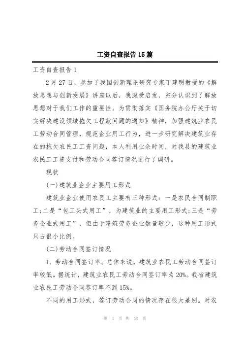 工资自查报告15篇