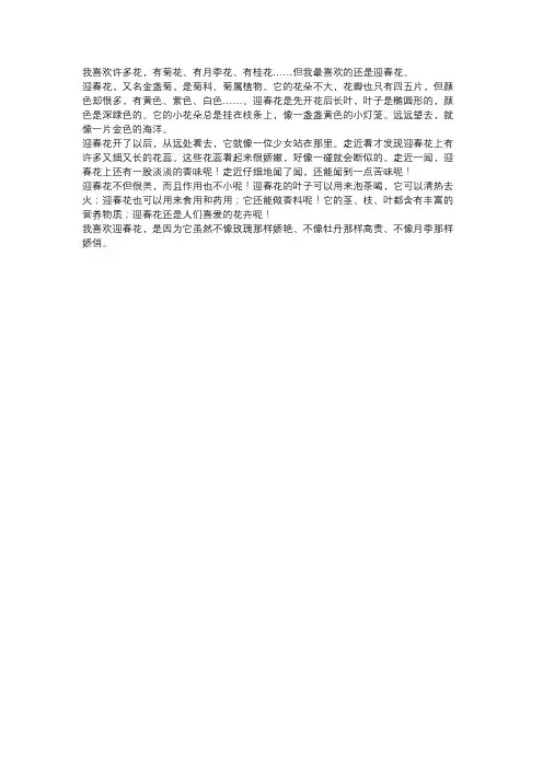 迎春花的样子颜色气味特点和其他作文