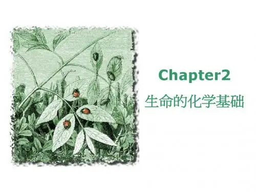 普通生物学_2生命的化学基础
