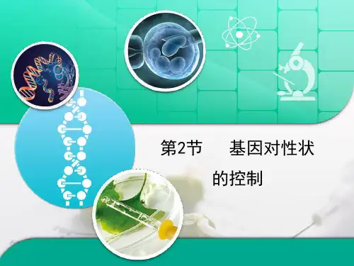 人教版高中生物必修2-4.2《基因对性状的控制》复习课件