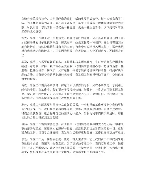 享受工作感想