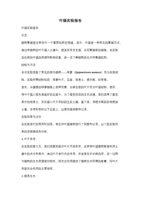 叶插实验报告