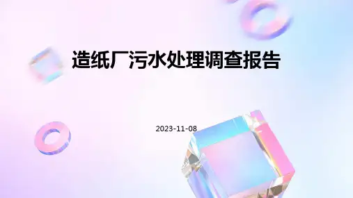 造纸厂污水处理调查报告