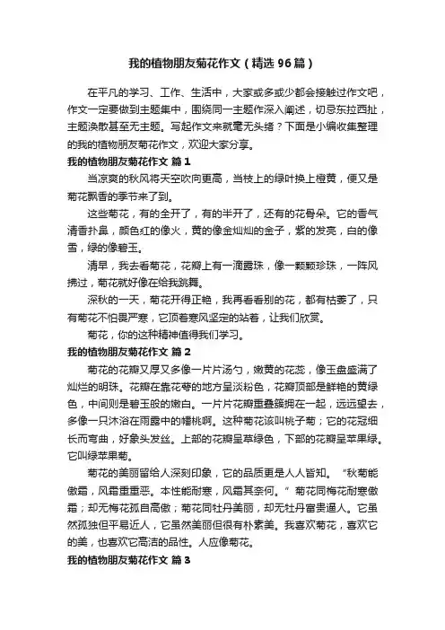 我的植物朋友菊花作文（精选96篇）