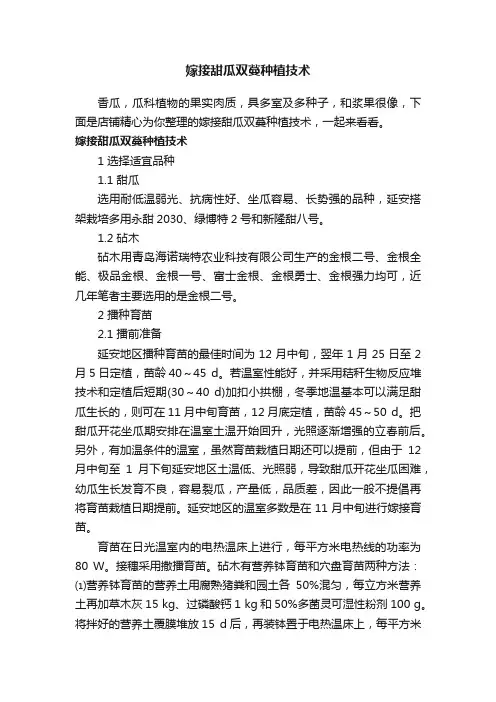 嫁接甜瓜双蔓种植技术