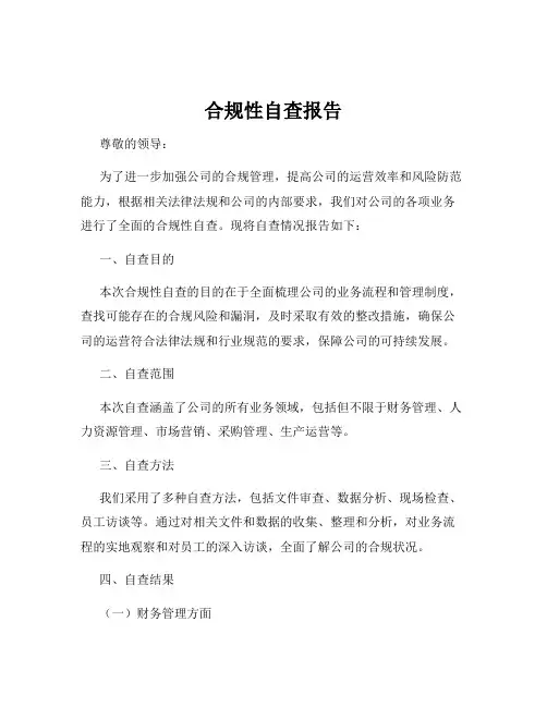 合规性自查报告