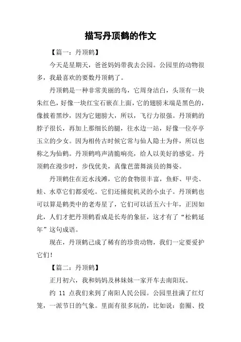 描写丹顶鹤的作文