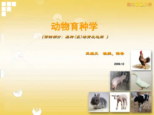家畜育种学11杂种优势利用