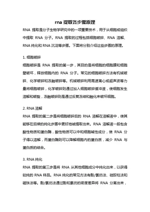 rna提取各步骤原理
