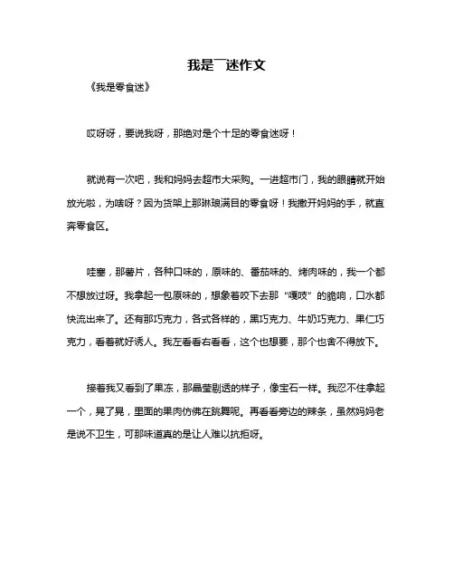 我是――迷作文