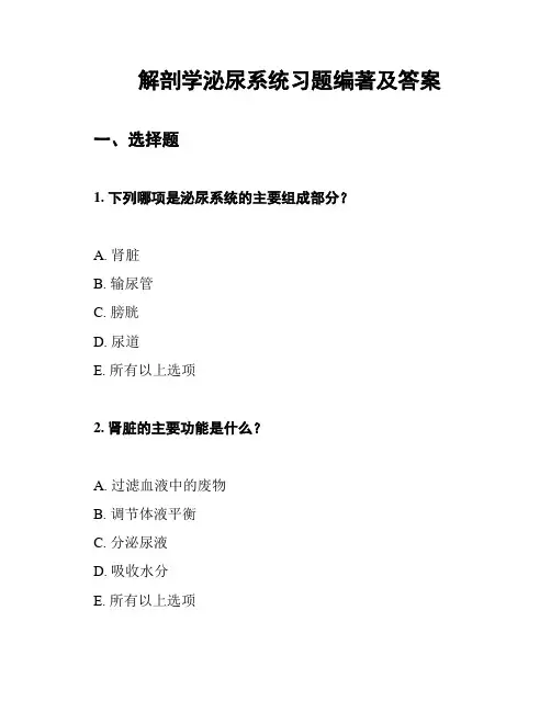 解剖学泌尿系统习题编著及答案