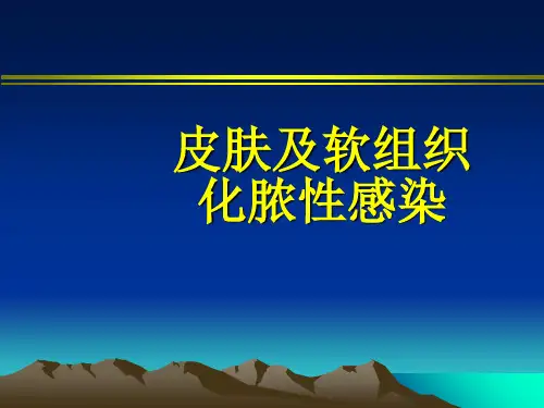 皮肤及软组织化脓性感染