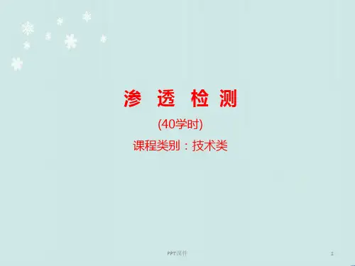 渗透检测培训教材  ppt课件