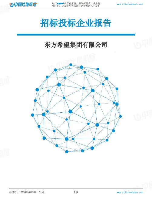 东方希望集团有限公司-招投标数据分析报告