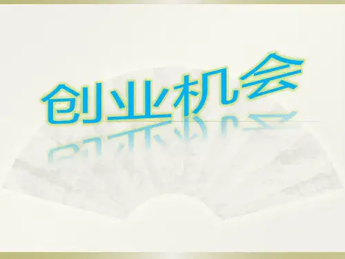 创业机会PPT课件