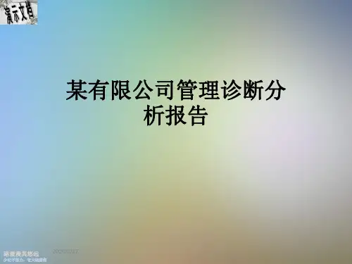 某有限公司管理诊断分析报告