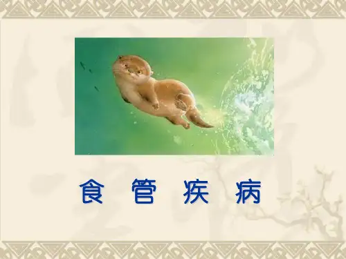 医学影像学第七版 食管(总)