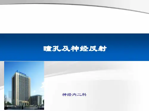 瞳孔及神经反射课件
