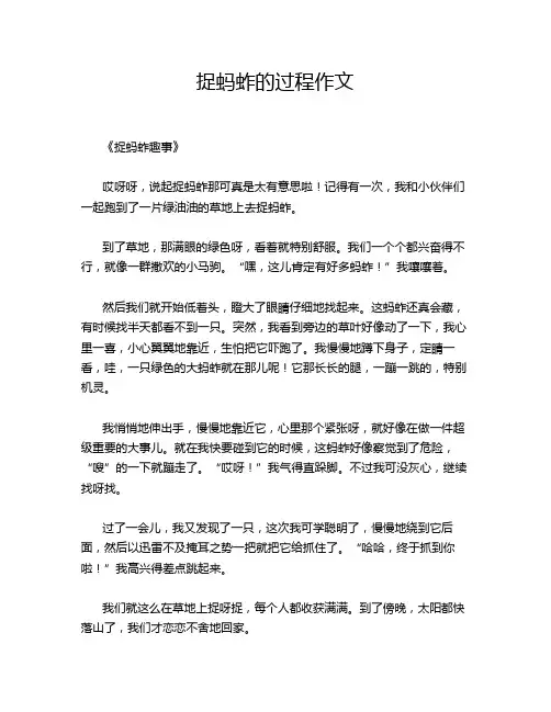 捉蚂蚱的过程作文