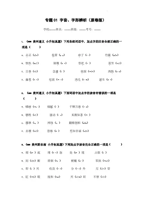 字音、字形辨析(原卷版)(1)-小升初综合特训卷