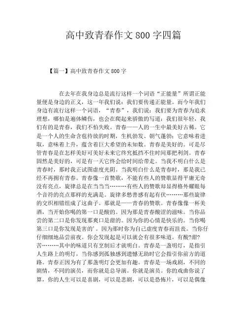高中致青春作文800字四篇