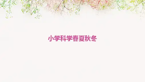 小学科学春夏秋冬课件ppt