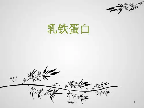 乳铁蛋白PPT课件