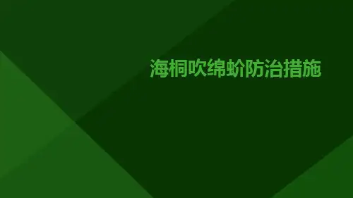 海桐吹绵蚧防治措施