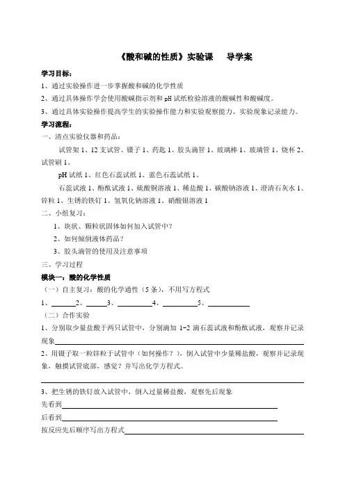 酸和碱的性质实验课导学案
