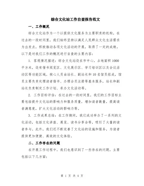 综合文化站工作自查报告范文