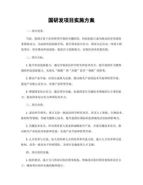 国研发项目实施方案
