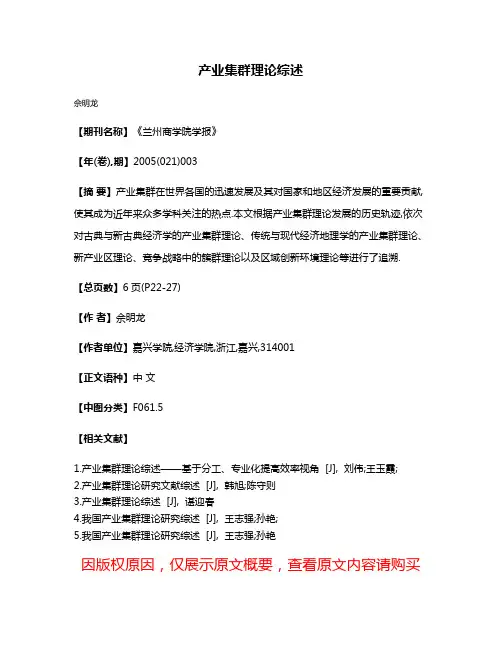 产业集群理论综述