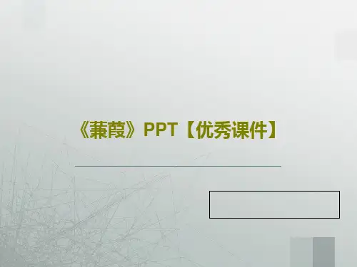 《蒹葭》PPT【优秀课件】36页PPT